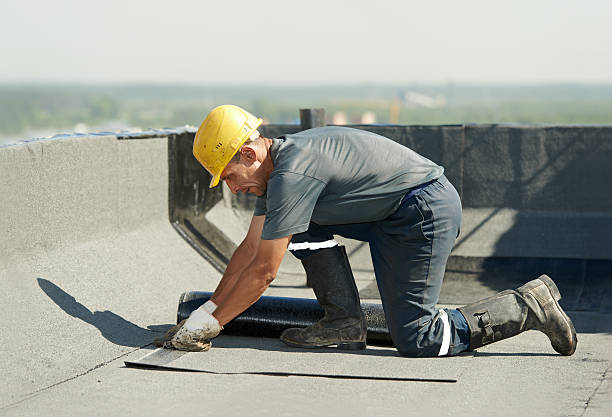 Best Geographic-Specific Insulation Services in Marlette, MI