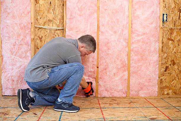 Best Cellulose Insulation in Marlette, MI